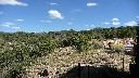 View from Garden