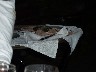 Trout cooked in clay traditional indian way of doing it
